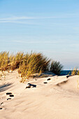 Dunes at Ellenbogen peninsula, Sylt, Schleswig-Holstein, Germany