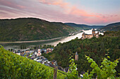 Blick aus den Weinbergen auf Bacharach und Burg Stahleck, Rhein, Rheinland-Pfalz, Deutschland