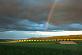 Regenbogen vor dunklen Gewitterwolken, Solling, Niedersachsen, Deutschland