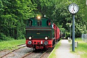 D-Krefeld, Rhine, Lower Rhine, Rhineland, North Rhine-Westphalia, NRW, D-Krefeld-Huelser Berg, rail station Huelser Berg, platform, historical steam train ´Schluff´, museum train, steam loco