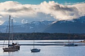 Canada, British Columbia, Vancouver Island, Comox, Comox Harbour