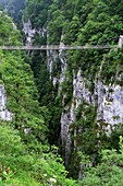Hiker walking on the footbridge, 180 metres over Gorges d´Holzarte, near Larrau village, Atlantics Pyrenees, in Aquitaine region  France
