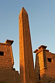 Egypt, Nile Valley, Luxor, Unesco world heritage, The Temple of Luxor with Obelisk