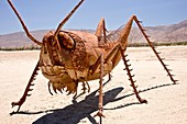 A metal grasshopper scukpture in Borrego Springs, California