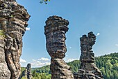The so-called pillars of Hercules are two bizarre, free-standing rock towers in the climbing area located in the Rosenthal Bielatal in the National Park Saxon Switzerland, Saxony, Germany, Europe
