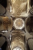 Cathedral Ceiling, Salamanca, Castilla y Leon, Spain, Europe