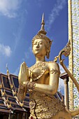Statue of Kinnari, traditional symbol of feminine beauty at Wat Phra Kaeo, the Royal Grand Palace, Bangkok,Thailand