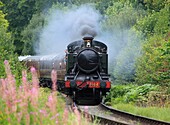 GWR No  5164 Large Prairie Tank Locomotive steams out of Trimpley Reservoir on the Severn Valley Railway, Worcestershire, England, Europe