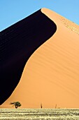 Sand Dune Patterns - Sossusvlei National Park - Namib-Naukluft National Park, Namibia, Africa
