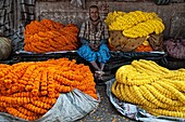 Flower seller among his marigold flowers garlands in Mullick ghat flower market  Calcutta, India
