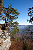 Rock formation Hangender Stein, near Hechingen, Swabian Alb, Baden-Wuerttemberg, Germany