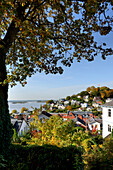 view to the Elbe river with stair-district of Blankenese, Hamburg, north Germany, Germany