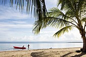 Two boys playing in the ocean at Starfish beach on Isla Colon Bocas del Toro, Panama