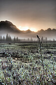 Morning fog hangs on the ground near the Copper River Highway as the sun rise over the Chugach Mountains, Chugach National Forest, Southcentral Alaska, Spring. HDR