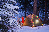 A tent is set up in the woods with Christmas lights and stocking near Anchorage, Alaska