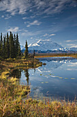 The north face and peak of Mt. Mckinley is reflected in a small tundra pond in Denali National Park, Alaska