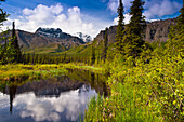 Scenic of a small pond off the Nabesna Road in Wrangell-St. Elias National Park with Skookum Volcano in the back ground, Southcentral Alaska, Summer