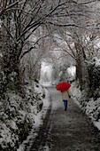 Woman With Red Umbrella Walking Down Snowy Rural Road, Rear View