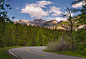 Forest road in Kananaskis Country, Alberta, Canada, summer, daytime