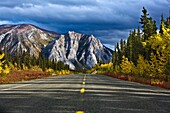 Tagish Road, Mount Nares, Yukon Territory, Canada, Roadside Trees In Autumn
