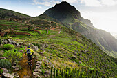 Mountain biker on trail, Teide national park, Tenerife, Canary Islands, Spain