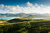 Coastal landscape with cactus, St. Lucia, Windward Islands, Lesser Antilles, Caribbean