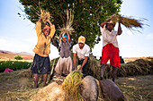 Arbeiter dreschen Hirse, Madagaskar, Afrika
