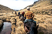 Schafabtrieb in den Garvie Mountains,1986,Musterer mit Pferde und Hunde,Schafhirten,Tussockgras,High Country,Südinsel,Neuseeland