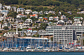 Historische Holzhäuser an den Steilhängen des Wellington Harbour,Hauptstadt,Wellington,Nordinsel,Neuseeland