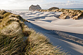wellenförmige Sandformationen,Dünenlandschaft und Strandgras am Wharariki Strand,Westküste,Neuseeland