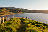 Blick über die Bucht von Port Jackson, Coromandel Halbinsel, Coromandel Halbinsel, Nordinsel, Neuseeland