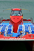 Katamaran, Touristen Schnellboot und Hund mit Veste in Farben der Firma, Corporate Identity, Paihia, Bay of Islands, Nordinsel, Neuseeland