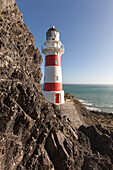 Cape Palliser Lighthouse, unterhalb Felswand, Cape Palliser, Nordinsel, Neuseeland
