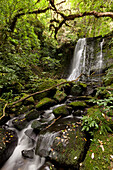 Waterfall through the forest, Catlins, South Island, New Zealand