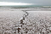 Hailstones on the beach after a storm, Marfells Beach, South Island, New Zealand