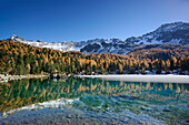 Herbstlich verfärbte Lärchen und verschneite Berge spiegeln sich in Bergsee, Saoseo-See, Val da Cam, Puschlav, Livignoalpen, Graubünden, Schweiz