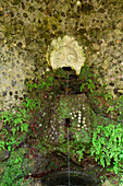 Fountain formed as a human face, Cinque Terre, National Park Cinque Terre, UNESCO World Heritage Site Cinque Terre, Liguria, Italy