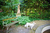 Hund neben dem Sitzbank in einem Garten mit Skulptur, Wien, Österreich