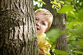 Junge (3 Jahre) ersteckt sich hinter einem Baum, Wien, Österreich