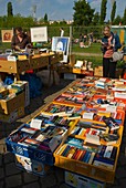 Flohmarkt, Bücher, Mauerpark, Berlin-Mitte, Berlin Deutschland