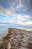 Coastal impression along the beach front, Key West, Florida Keys, USA