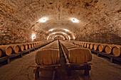 French oak barrels in the historic cellar of Viña Cousiño Macul winery, Santiago, Región Metropolitana, Chile