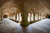 Arcades of the cloister of the Cistercian Abbey of Fontenay, CÃ´te d'Or, France