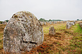 Menhirs in the Le MÃ©nec alignments, Carnac, Morbihan, France