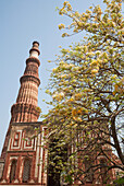 Alai Darwaza Gateway, Qutab Minar, Delhi, India
