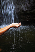 Hawaii, Oahu, Manoa Falls, Shot of a womans hands cupping water.