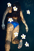 Hawaii, Oahu, Woman in a blue bikini swimming underwater with plumerias floating on the surface..