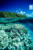 Micronesia, Pohnpei, Over/under view of hard coral reef and Ant Atoll.