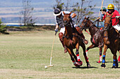 Hawaii, Oahu, North Shore, men on horseback playing polo on oceanside fields. NO MODEL RELEASE