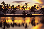 Hawaii, Big Island, South Kohala, Anaeho'omalu Bay, sunset and coconut palms
